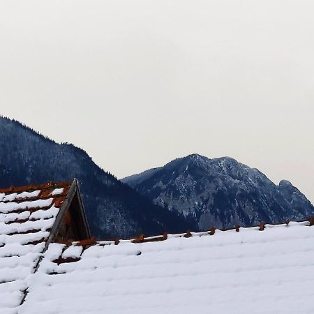 Отель Casa Piatra Craiului Зэрнешти Экстерьер фото