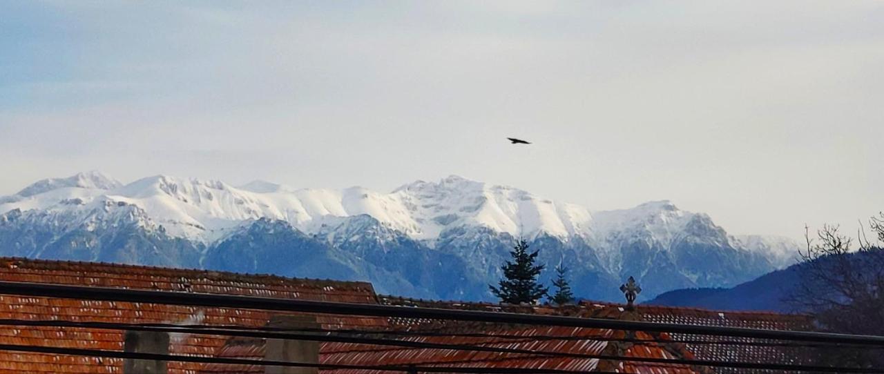 Отель Casa Piatra Craiului Зэрнешти Экстерьер фото
